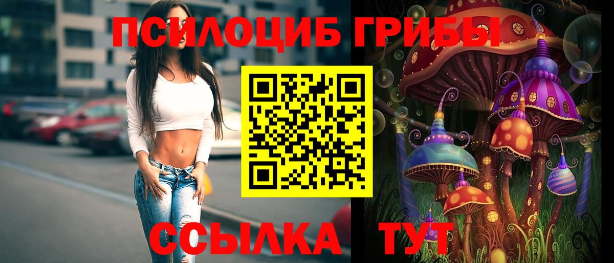 Можга  Псилоцибиновые грибы прущие грибы  Вход с VPN 